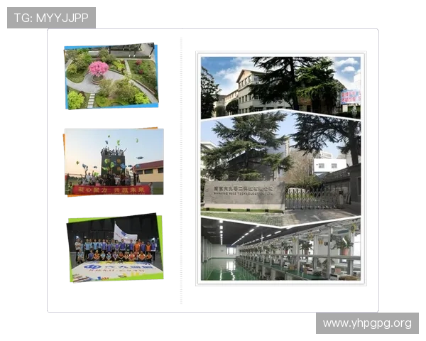 亚虎进出口有限公司2024年校园招聘全面启动，诚邀优秀学子加入！